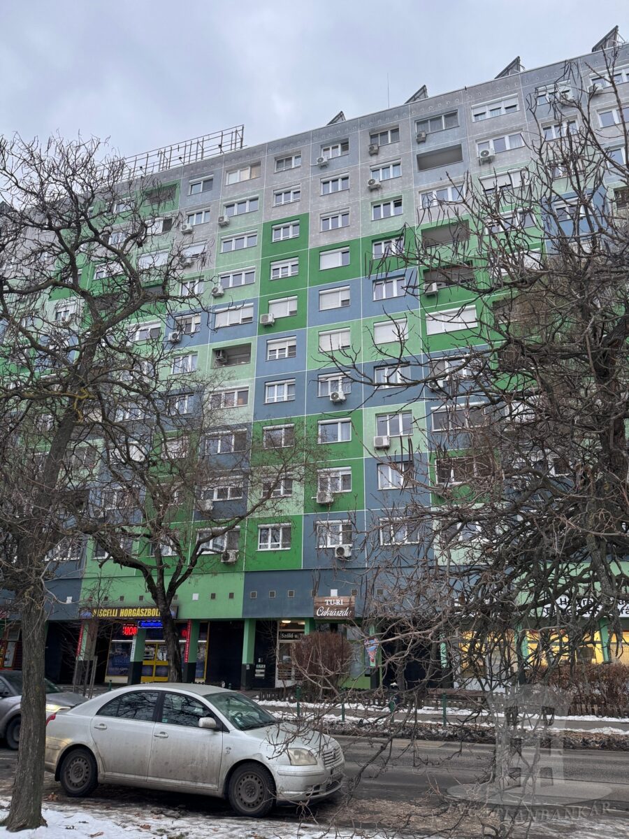 Budapest III. kerület, Szőlő utca – Eladó panellakás