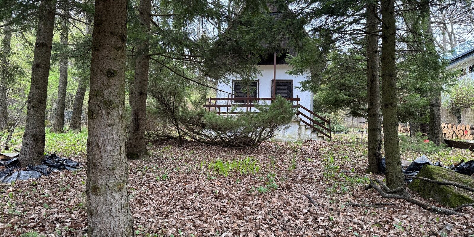 dobogoko-IMG_4801 Pilisszentkereszt, Bükkös utca - Eladó nyaraló