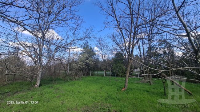 Gyula - Eladó külterületi telek