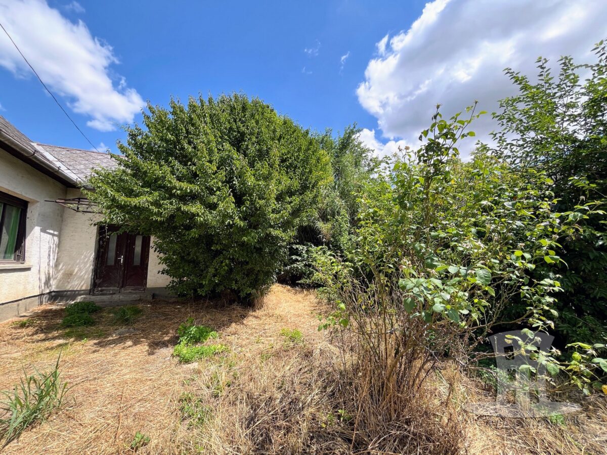 Iregszemcse, Rákóczi utca - Eladó családi ház - 94 m², 3 szoba