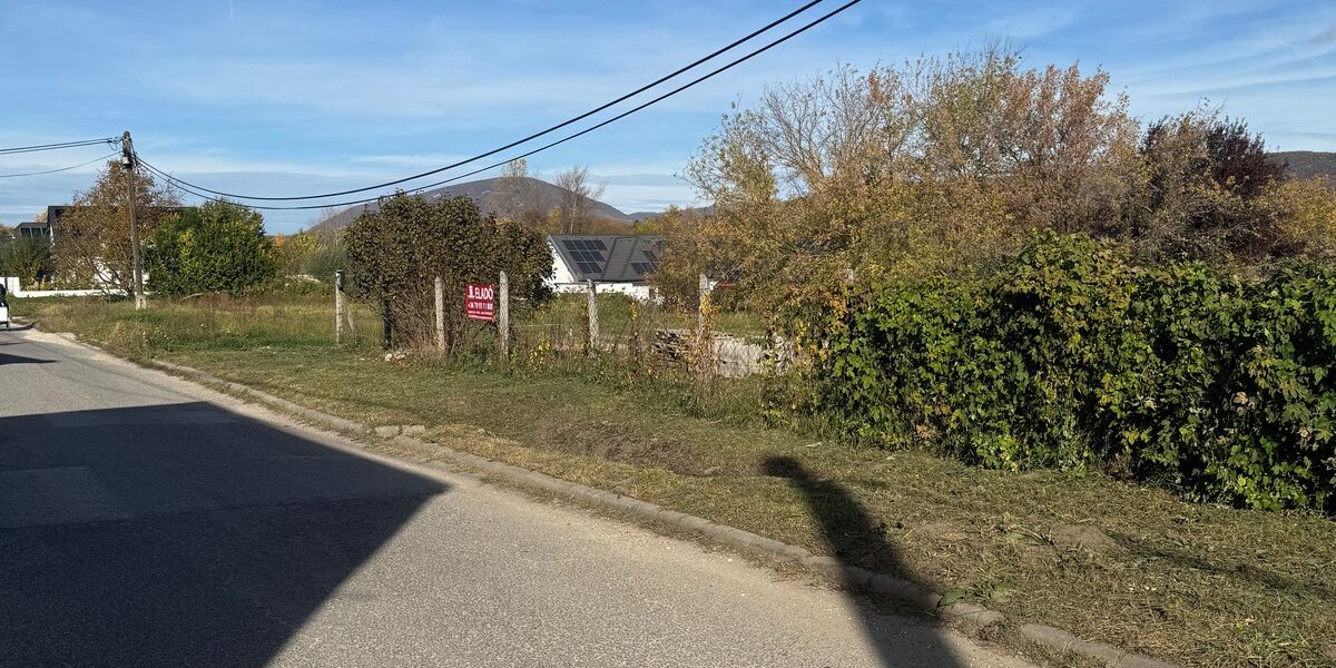 pilisvorosvar-IMG_5943