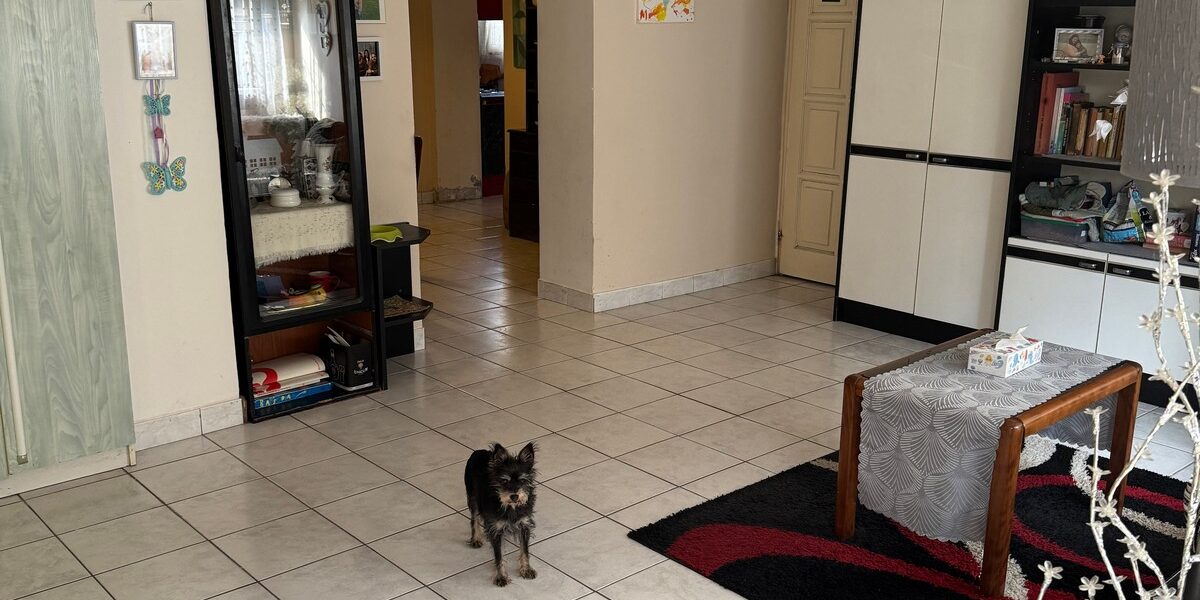 Szentendre, Vasúti villasor 89 - Eladó téglalakás